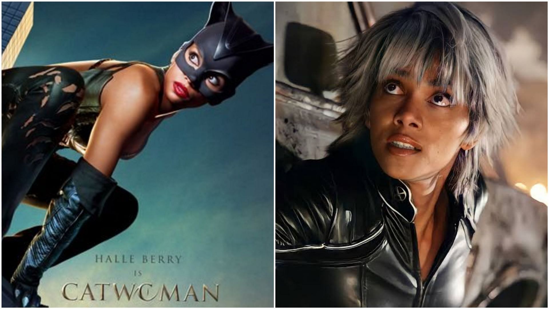 Halle Berry as DC&#039;s Catwoman/Marvel&#039;s Storm (Images via IMDb)