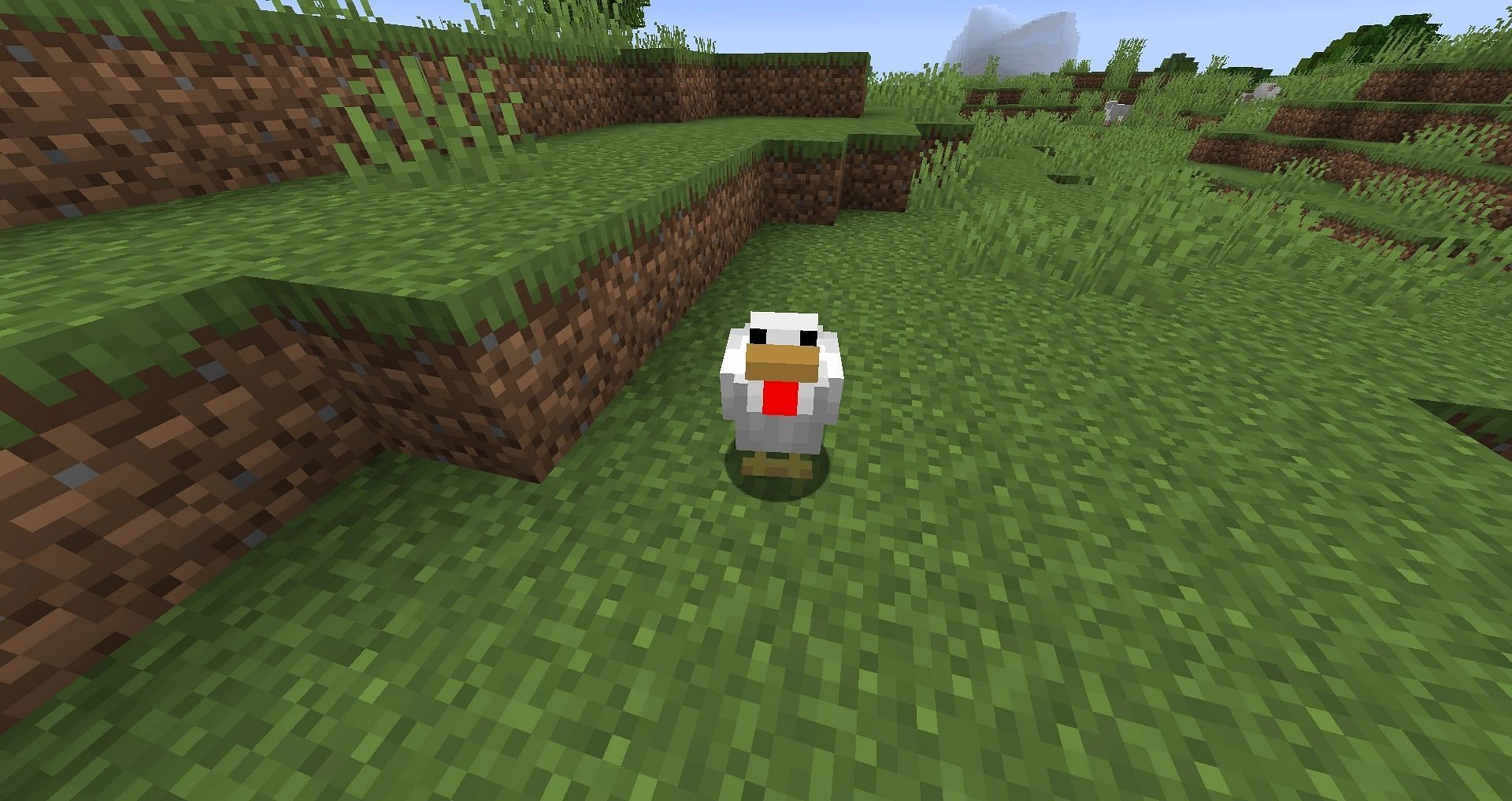 Chicken can also be farmed to obtain egg and raw chicken meat (Image via Minecraft Wiki)