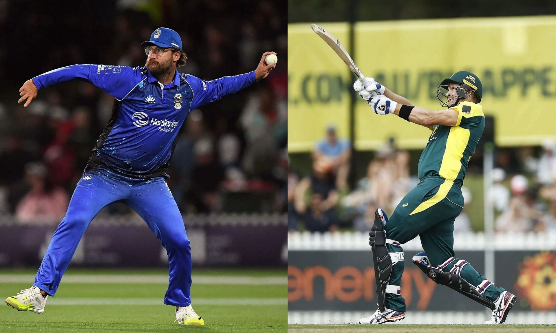 Daniel Vettori (left) and Shane Watson. Pics: Getty Images