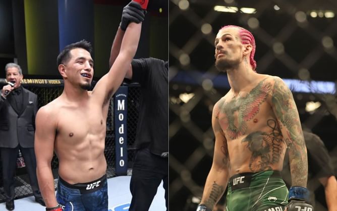 5 graduates of Dana White's Contender Series who could fight for UFC gold in the future