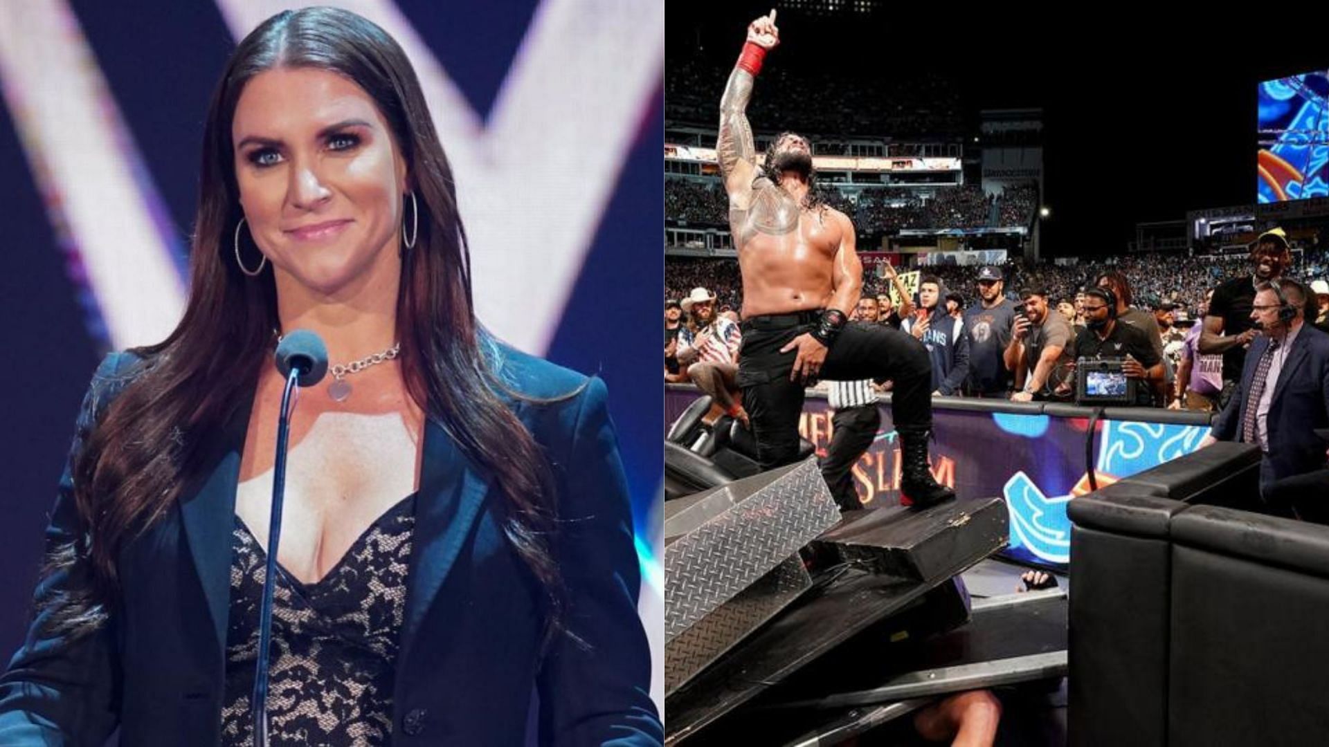 Stephanie Mcmahon Fakes