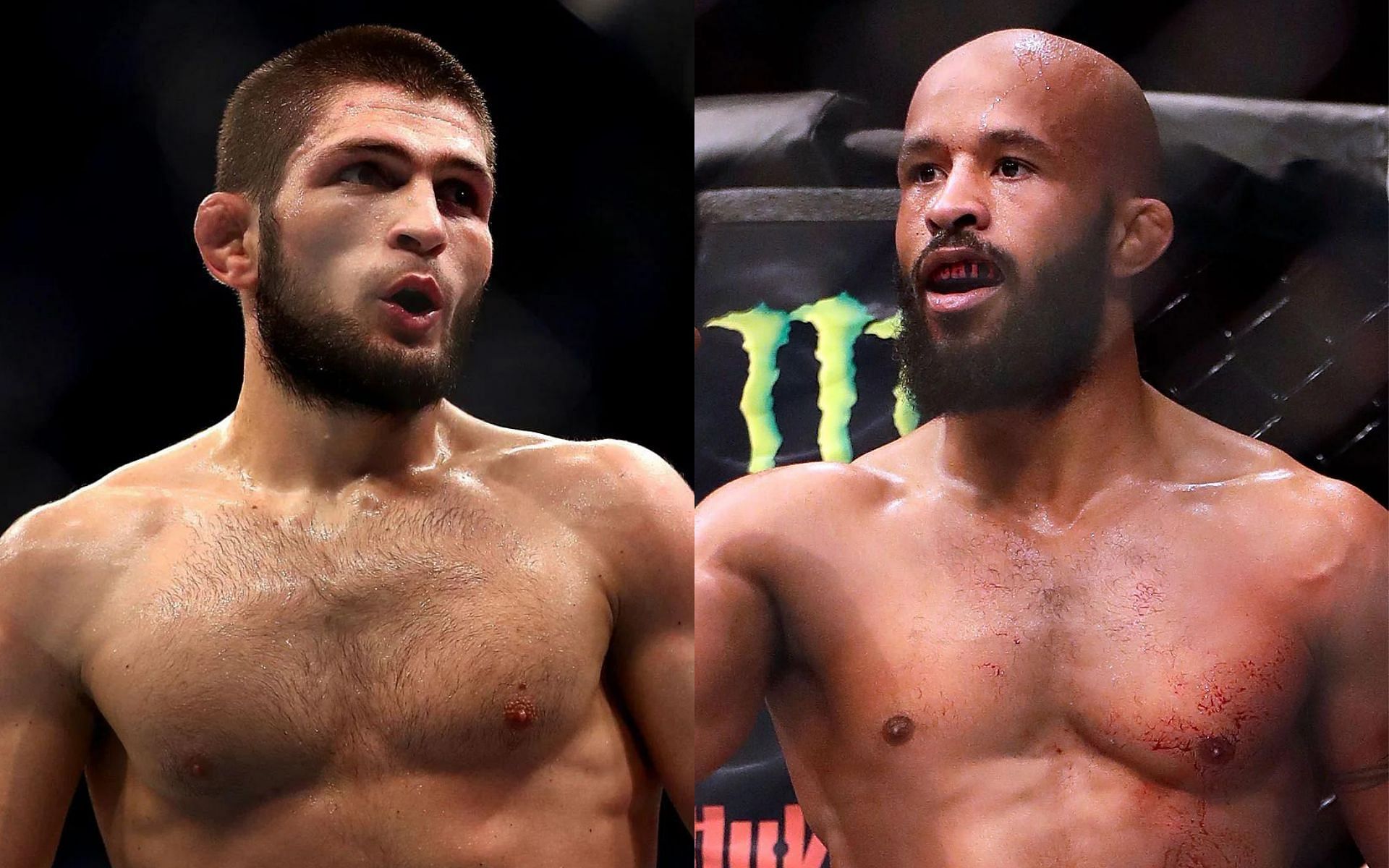 Khabib Nurmagomeedov (left) and Demetrious Johnson (right)