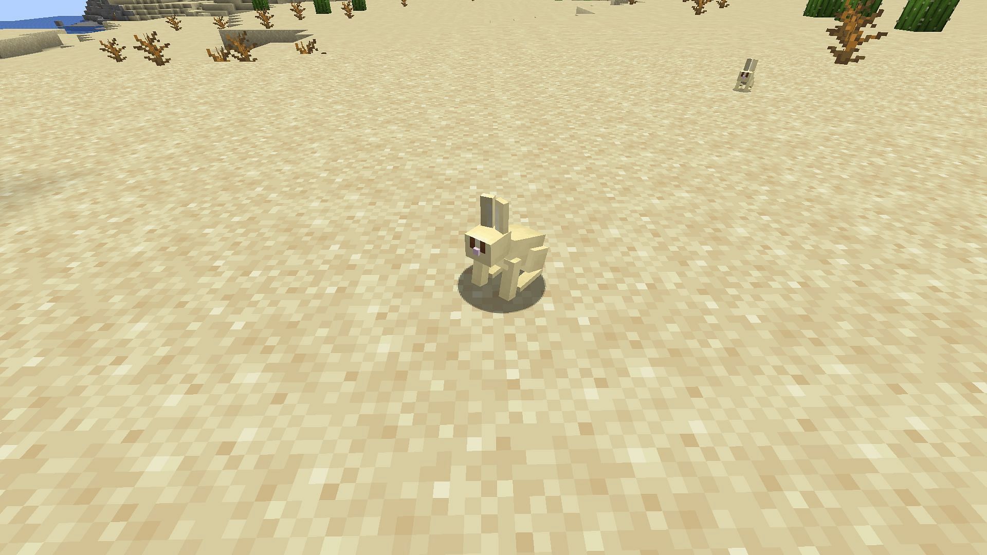 Rabbits are weak but hard to kill in Minecraft (Image via Mojang)