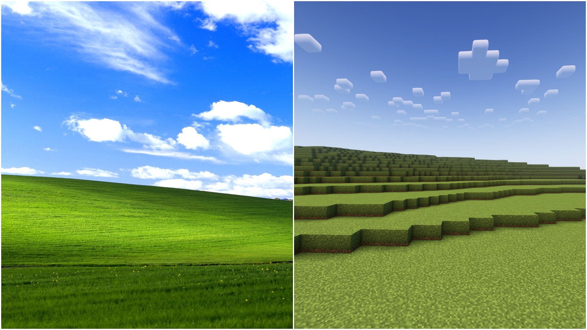 The Story behind the Famous Windows XP Desktop Background