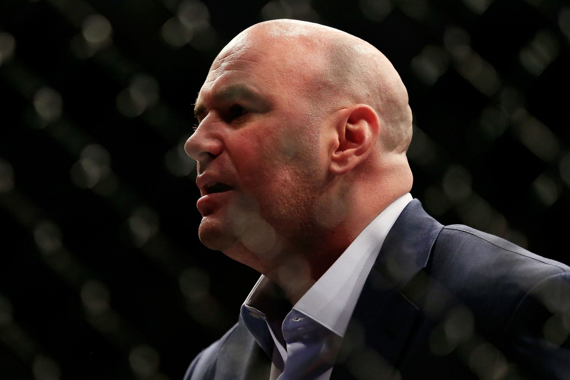 UFC president Dana White via Getty