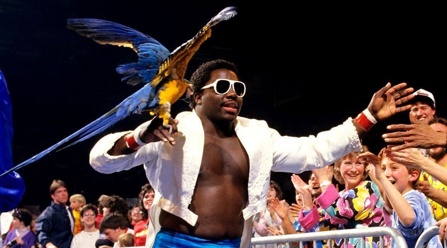 WWE Hall of Famer Koko B. Ware always had his trusty parrot Frankie with him on his way to the ring
