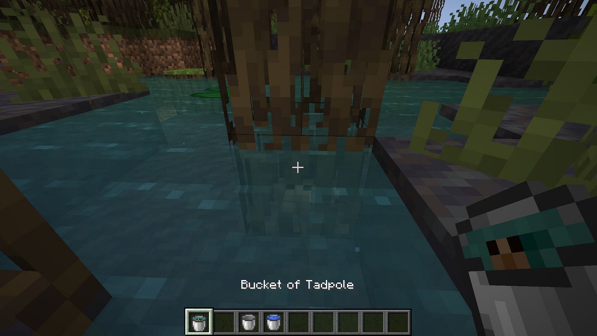 A tadpole can be picked up in a water bucket in Minecraft 1.19 update (Image via Mojang)