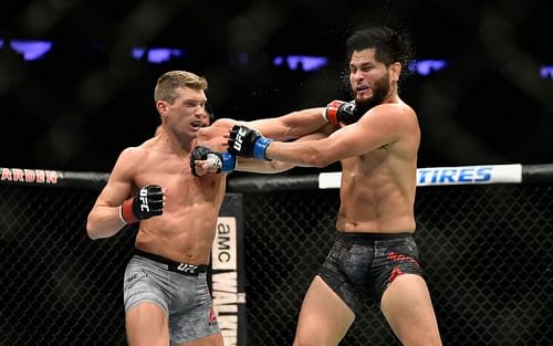 Stephen Thompson vs. Jorge Masvidal at UFC 217 (Jeff Bottari/Zuffa LLC)