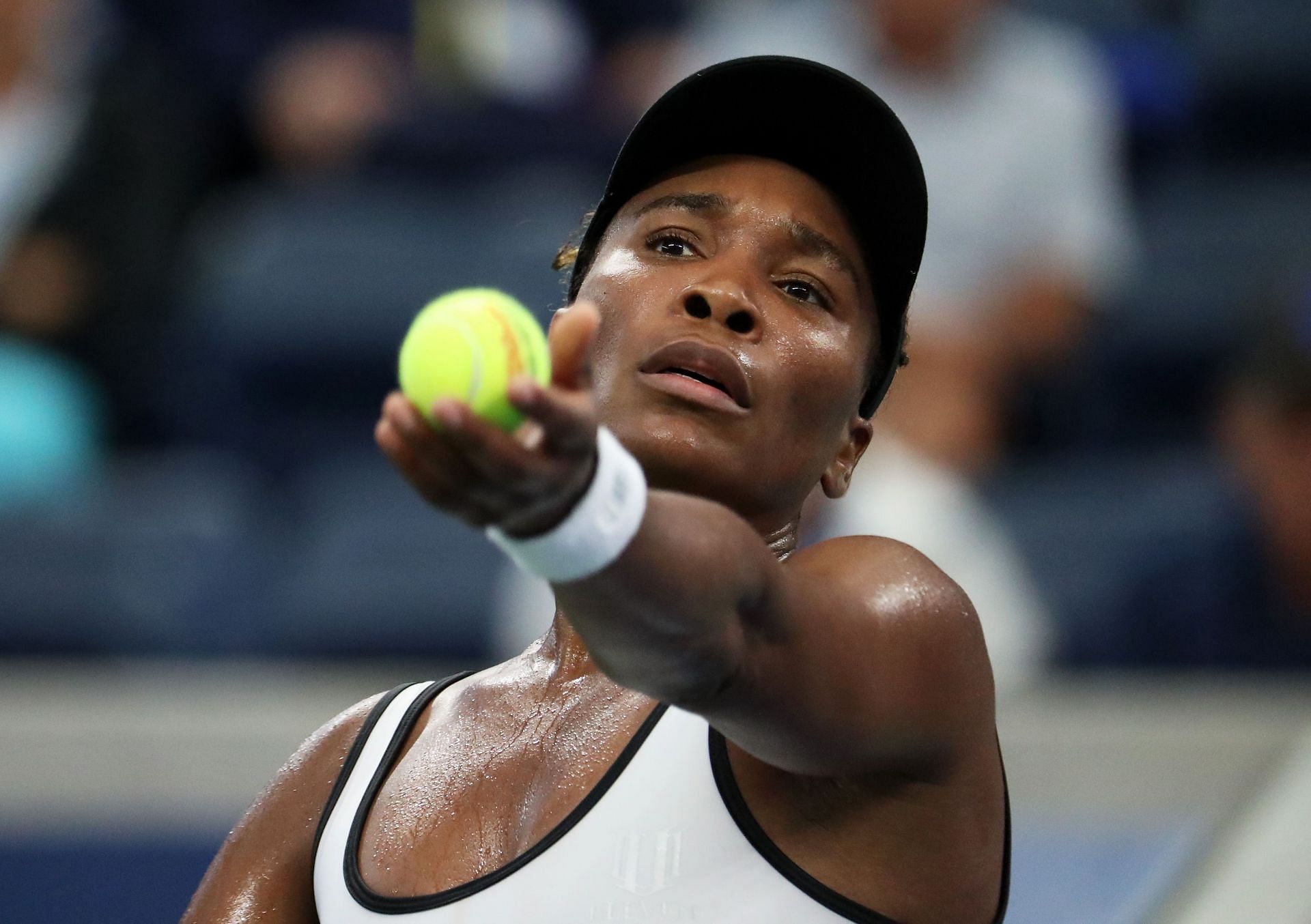 Venus Williams will join Serena Williams in Toronto.