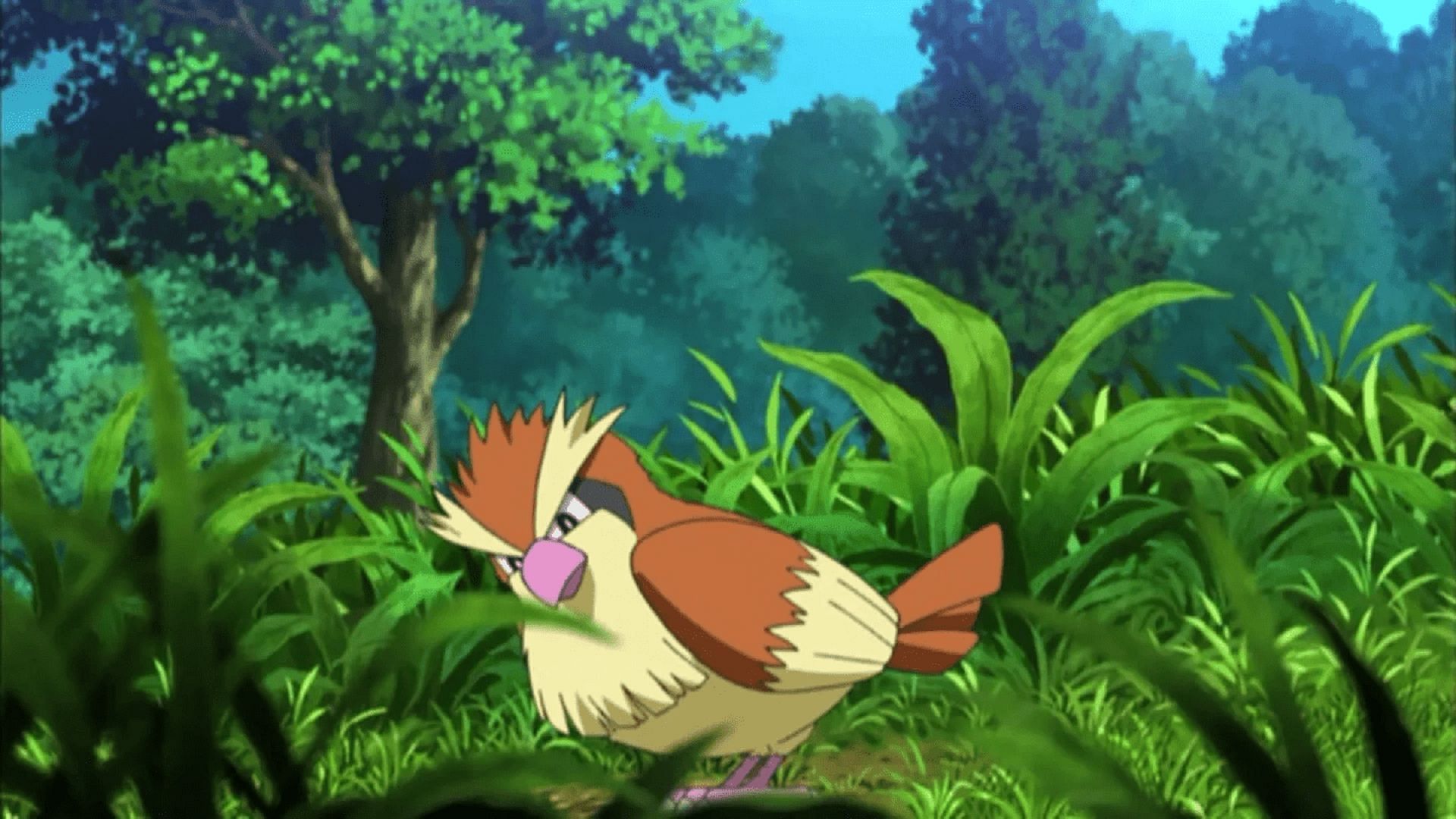 Pidgey as it appears in the Pokemon anime (Image via The Pokemon Company)