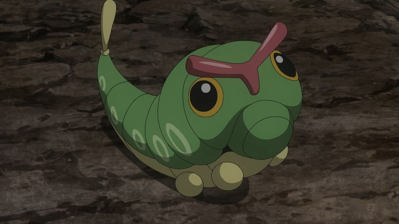 Caterpie as it appears in the anime (Image via The Pokemon Company)