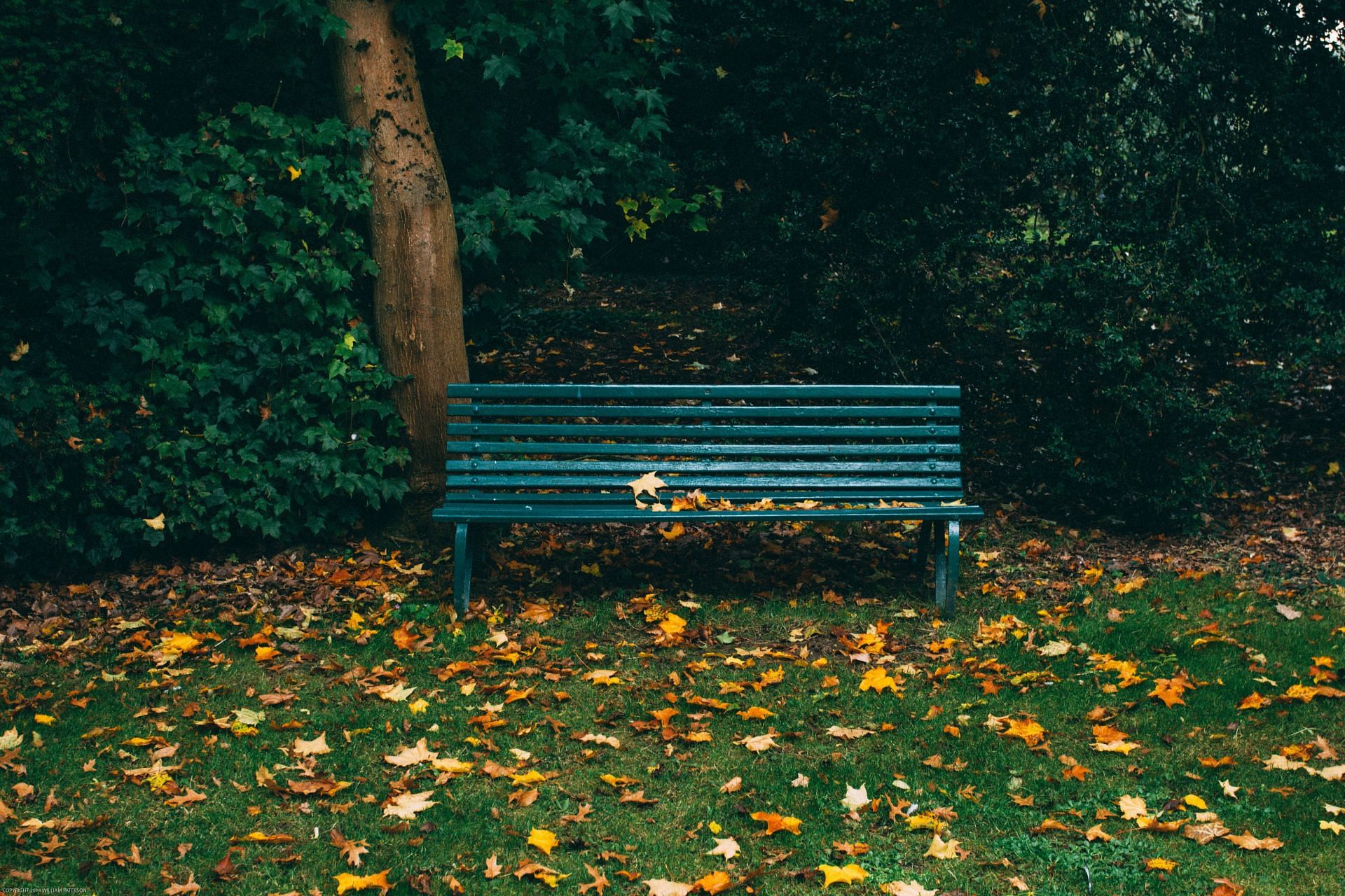 Try these exercises if a park bench is all you&#039;ve got. (Image via Unsplash/Will Paterson)