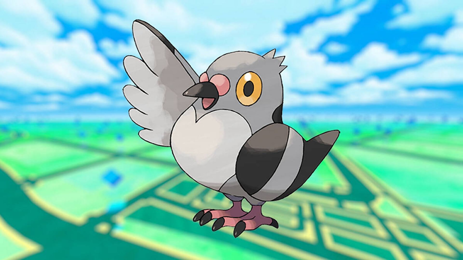 Official artwork for Pidove used throughout the series (Image via The Pokemon Company)