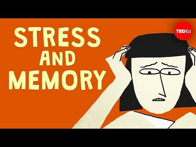 can-stress-cause-memory-loss