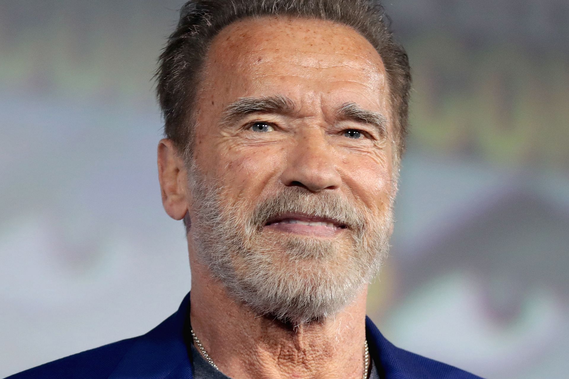 Arnold Schwarzenegger once expressed his desire to become the President of the USA (Image via Wikipedia)