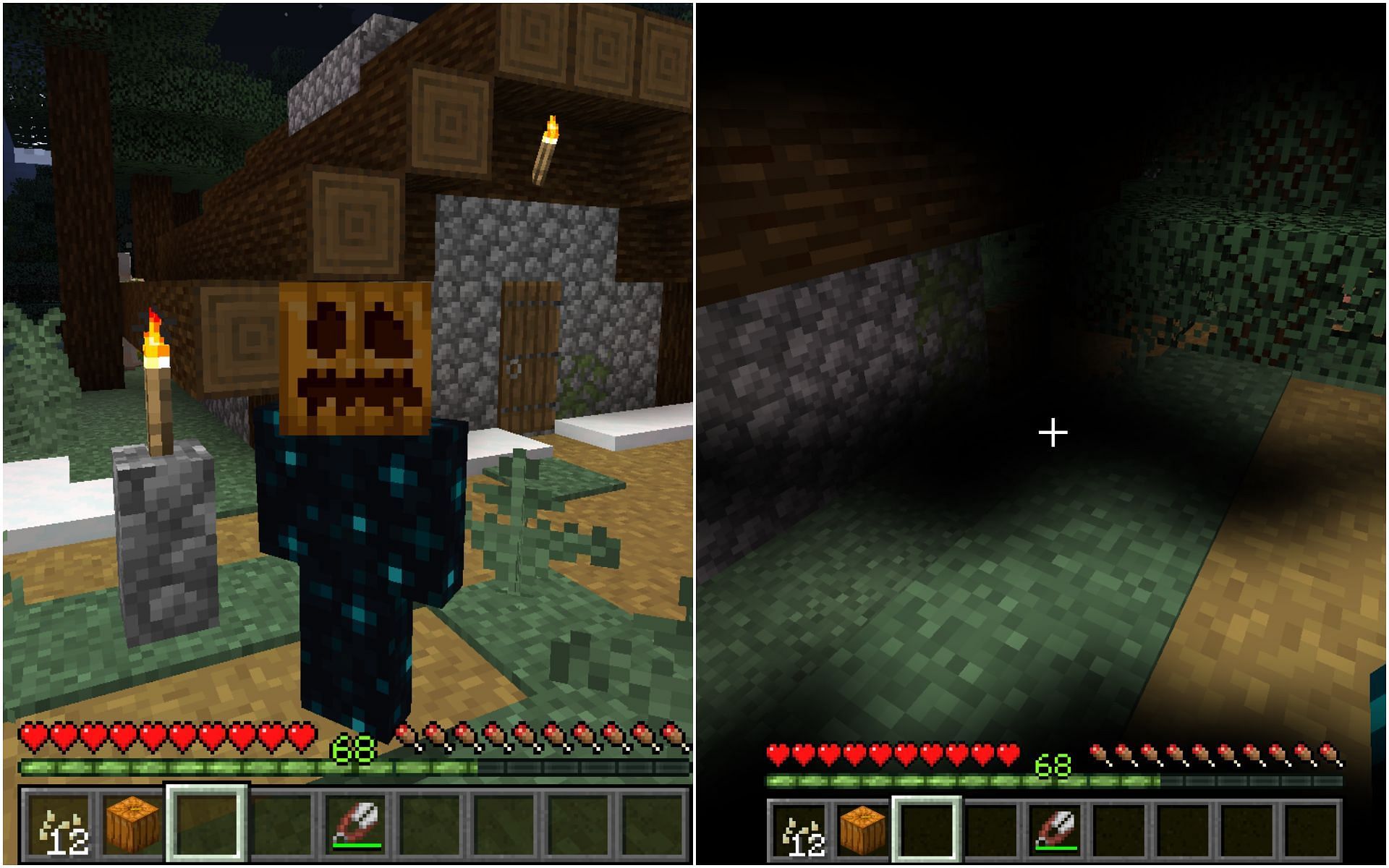 Players can also wear carved pumpkin on their head to avoid Enderman (Image via Minecraft 1.19 update)