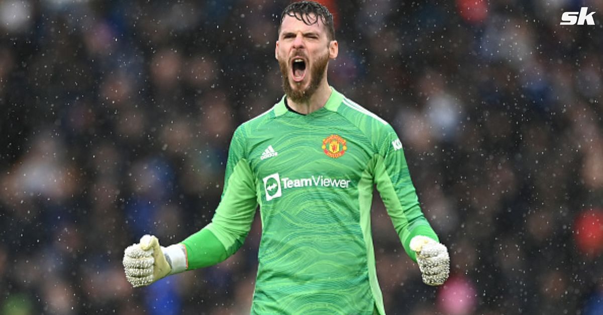 Erik ten Hag wants to sign a back-up for David de Gea