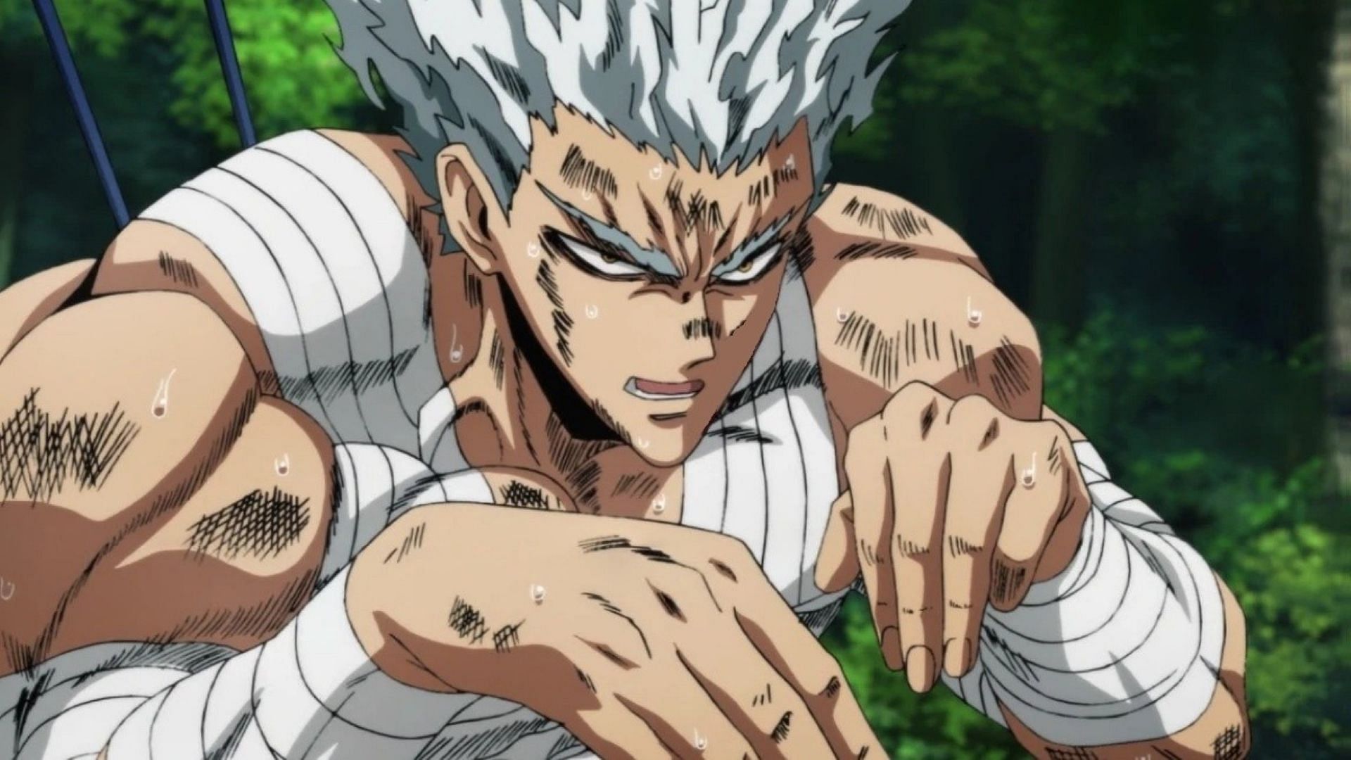 Garou (One Punch Man), Villains Wiki