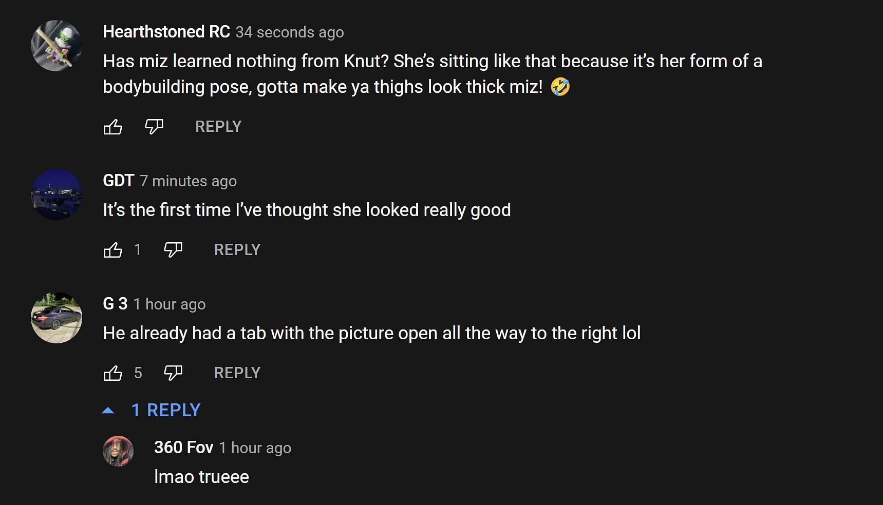 Fans in the YouTube comments section reacting to the streamer providing his take on Pokimane&#039;s viral picture 1/2 (Image via Timmily/YouTube)
