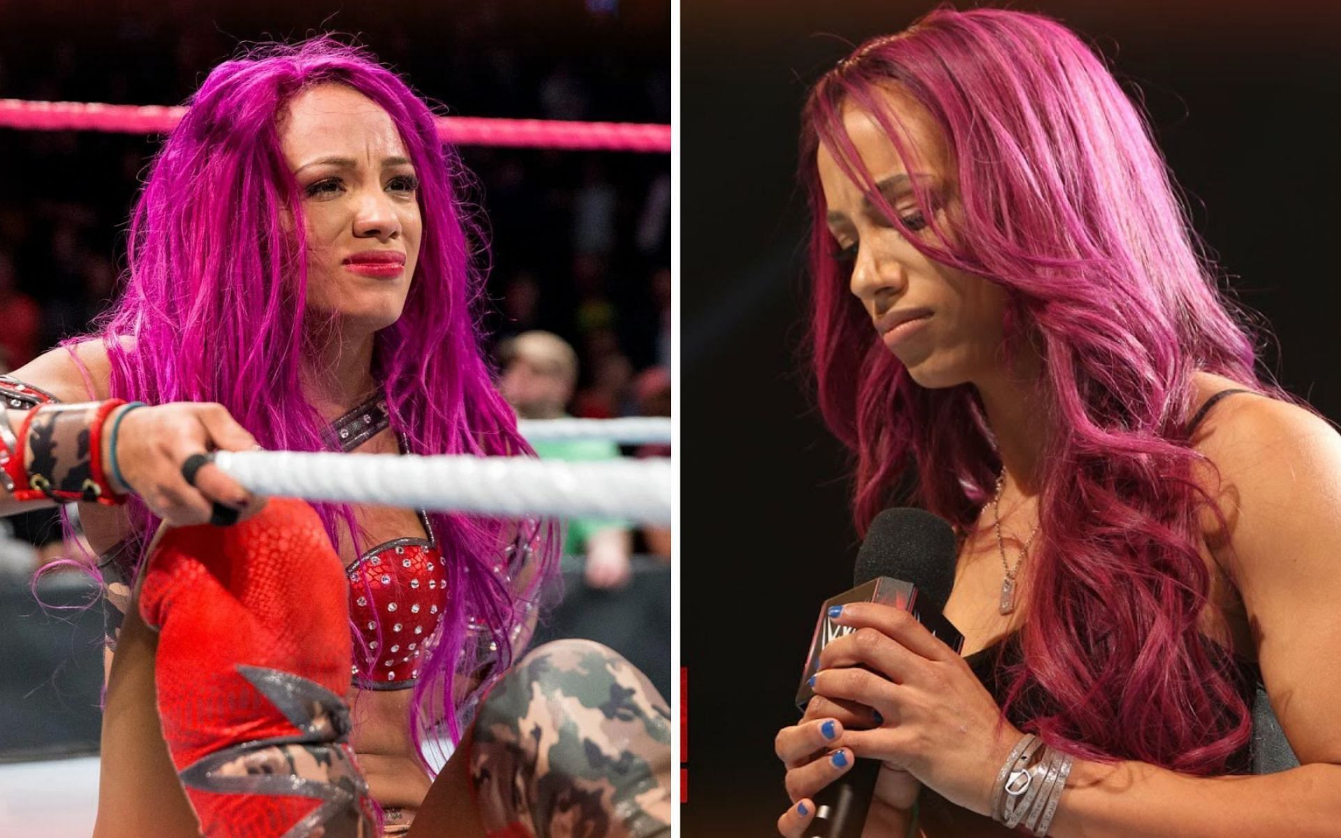 Former WWE Women&#039;s Tag Team Champion, Sasha Banks