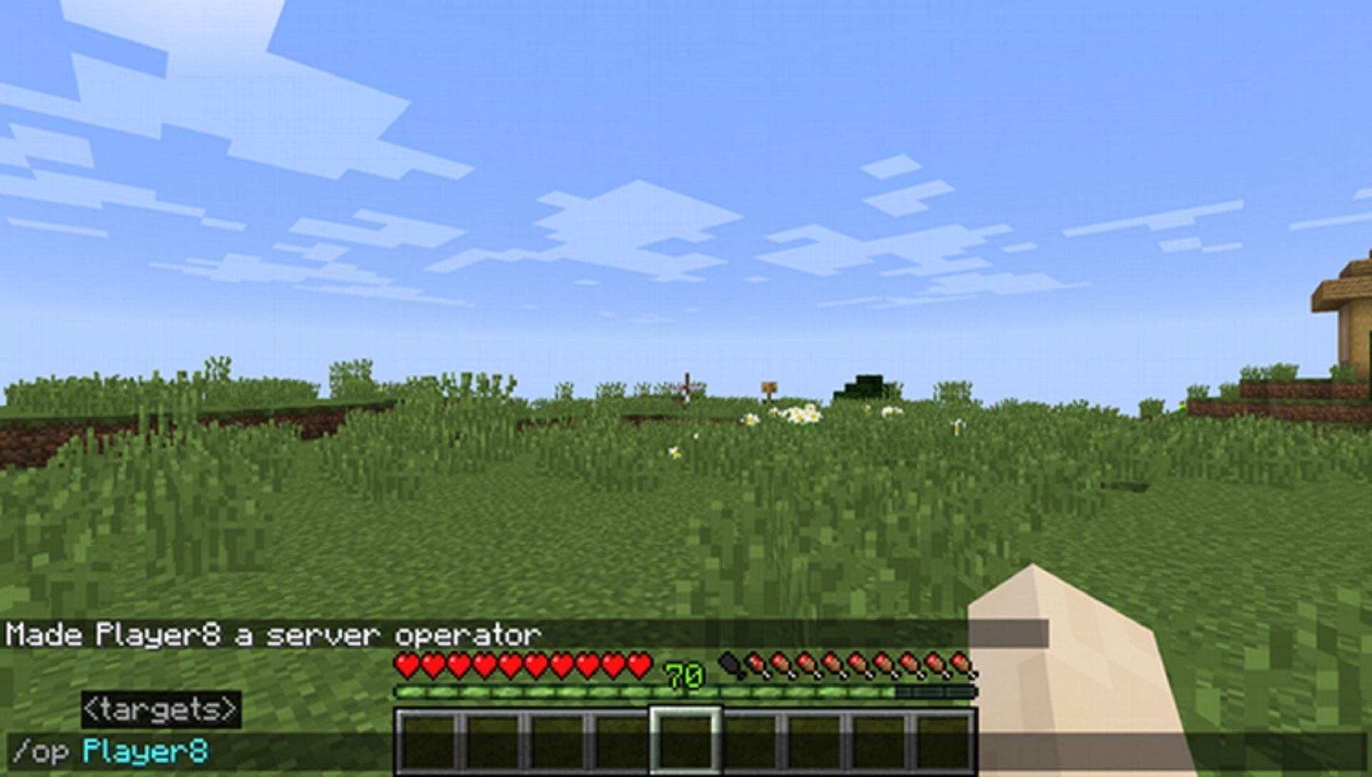 A player being converted into an operator (Image via Mojang)