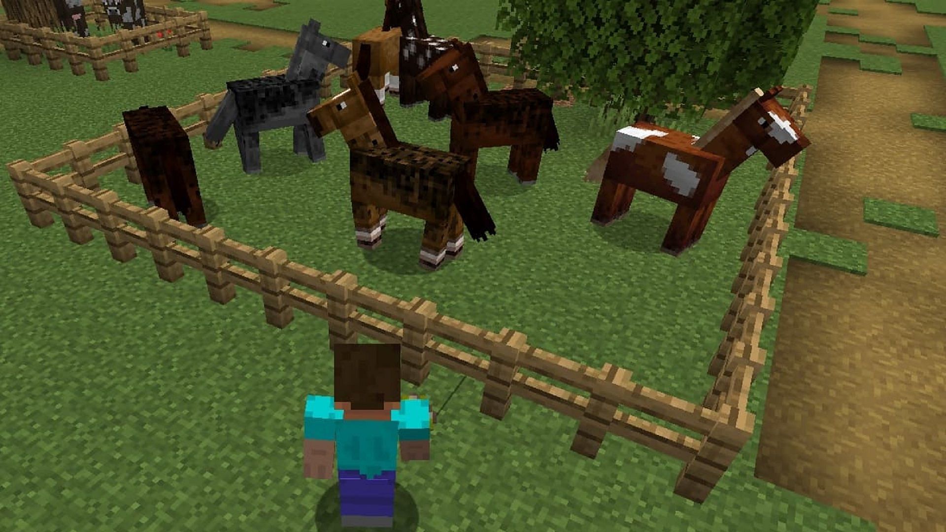 Steve and a few horses in Minecraft (Image via Mojang)