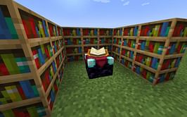 How many bookshelves are needed for a level 30 enchantment in Minecraft 1.19 update