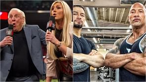 5 greatest families in modern WWE history
