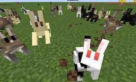Rabbit vs killer bunny in Minecraft: How different are the two mobs?