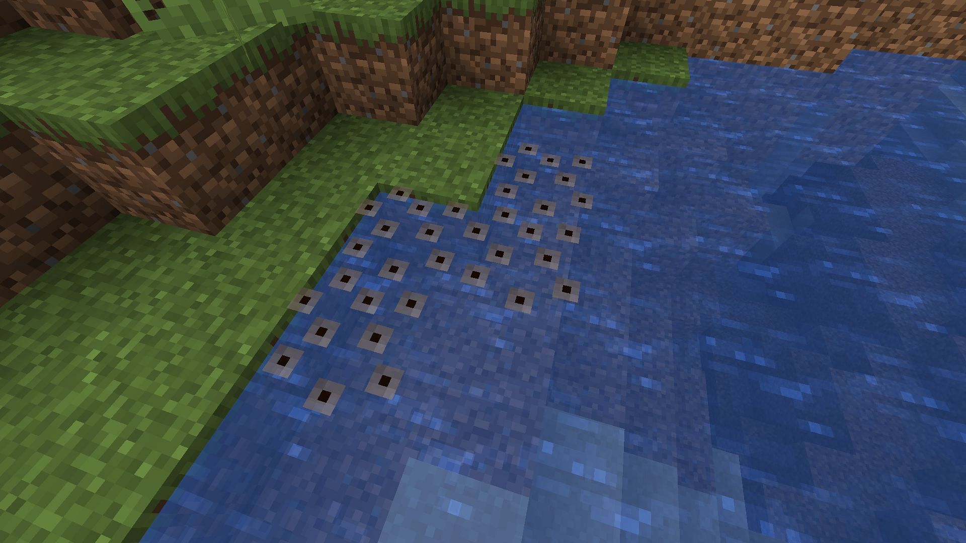 Frogspawn on the edge of a river (Image via Minecraft)