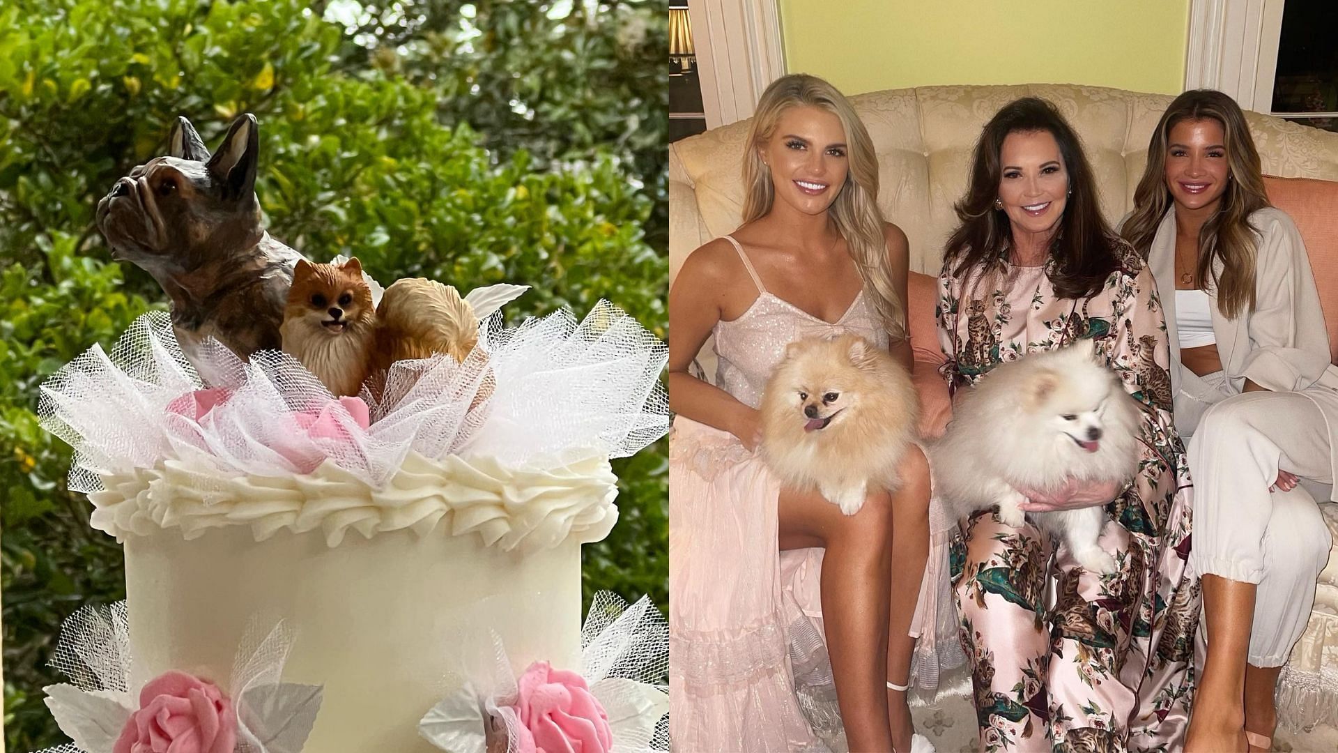Southern Charm Season 8 Episode 8 was all about a dog&#039;s wedding (Image via pataltschul/Instagram)