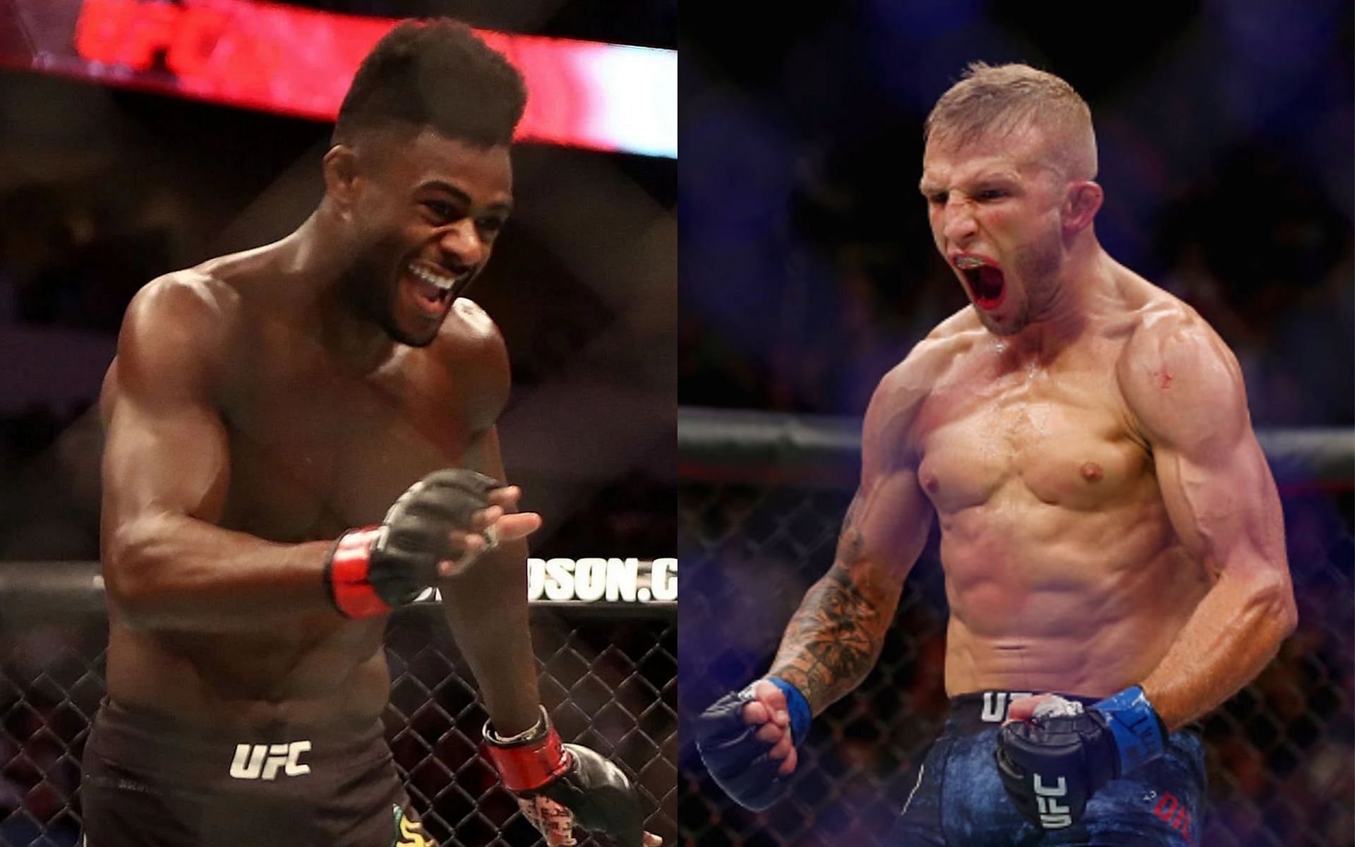 Aljamain Sterling (left) and T.J. Dillashaw (right)