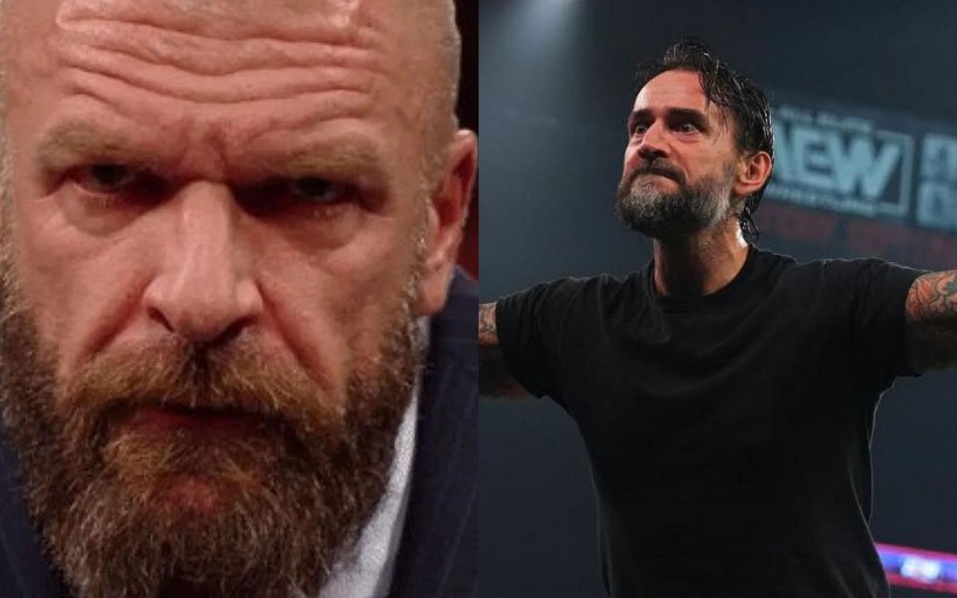 Triple H (Left) ; CM Punk (Right)