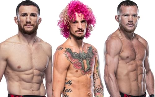 Merab Dvalishvili (left), Sean O'Malley (center), and Petr Yan (right) [Images courtesy of UFC.com]