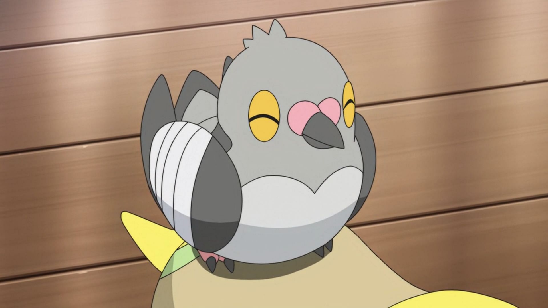 Pidove as it appears in the anime (Image via The Pokemon Company)