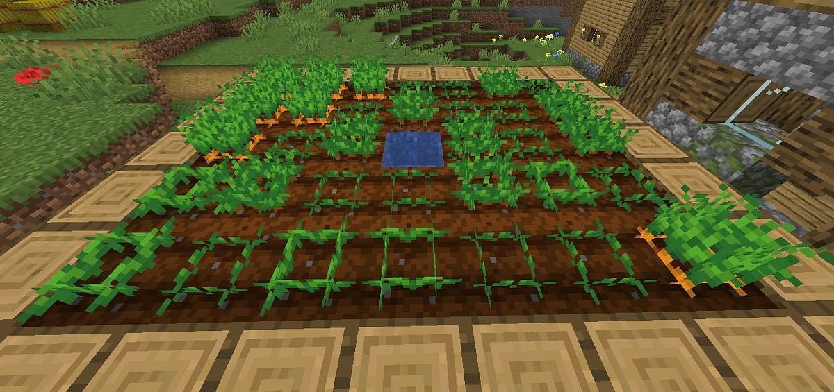 Farmland in Minecraft