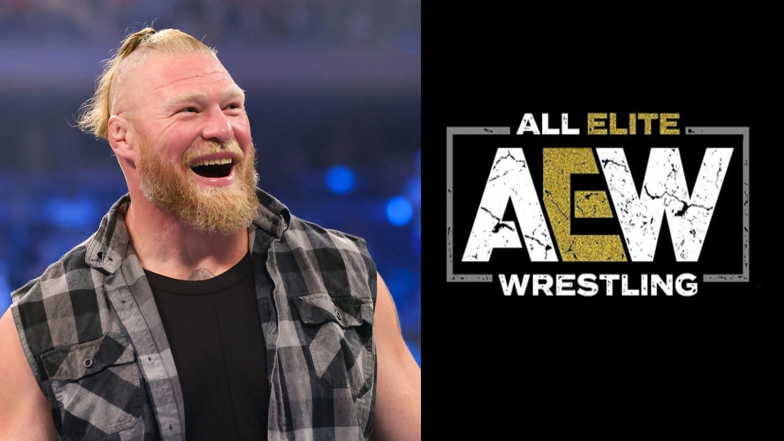What did this AEW star have to say about Lesnar?