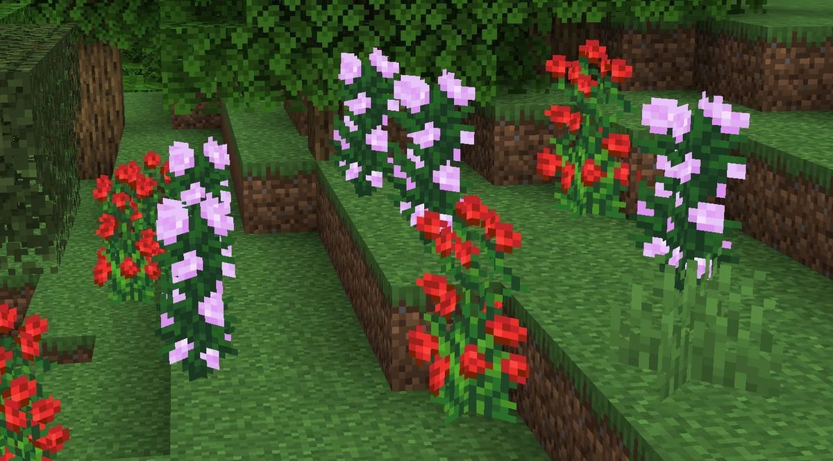 Peony in Minecraft