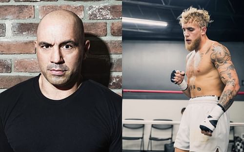 Joe Rogan (L) and Jake Paul (R) [ Image credits: @joerogan and @jakepaul /Instagram ]