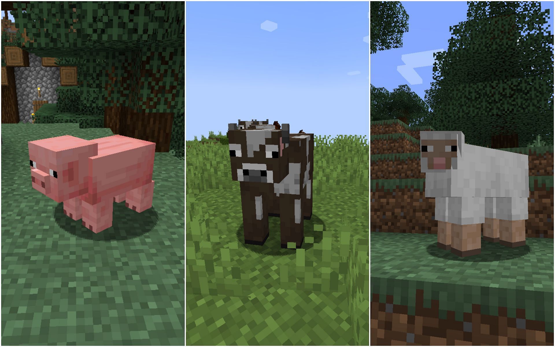 Most farm animals in Minecraft can be killed to obtain some of the best food and other items (Image via Sportskeeda)
