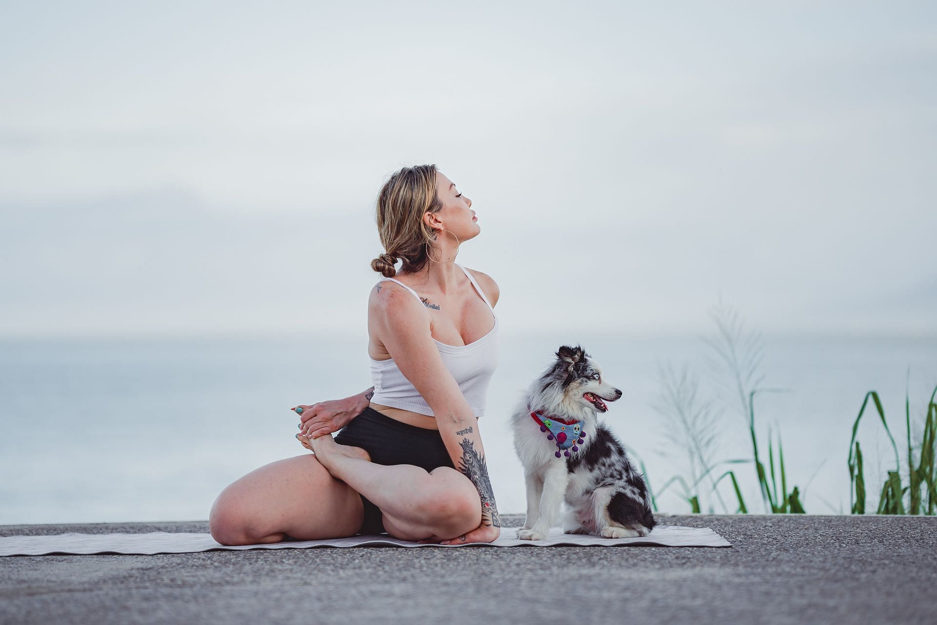 A well-rounded yoga routine helps eliminate harmful toxins from the liver. (Image via Unsplash/ Alonso Reyes)