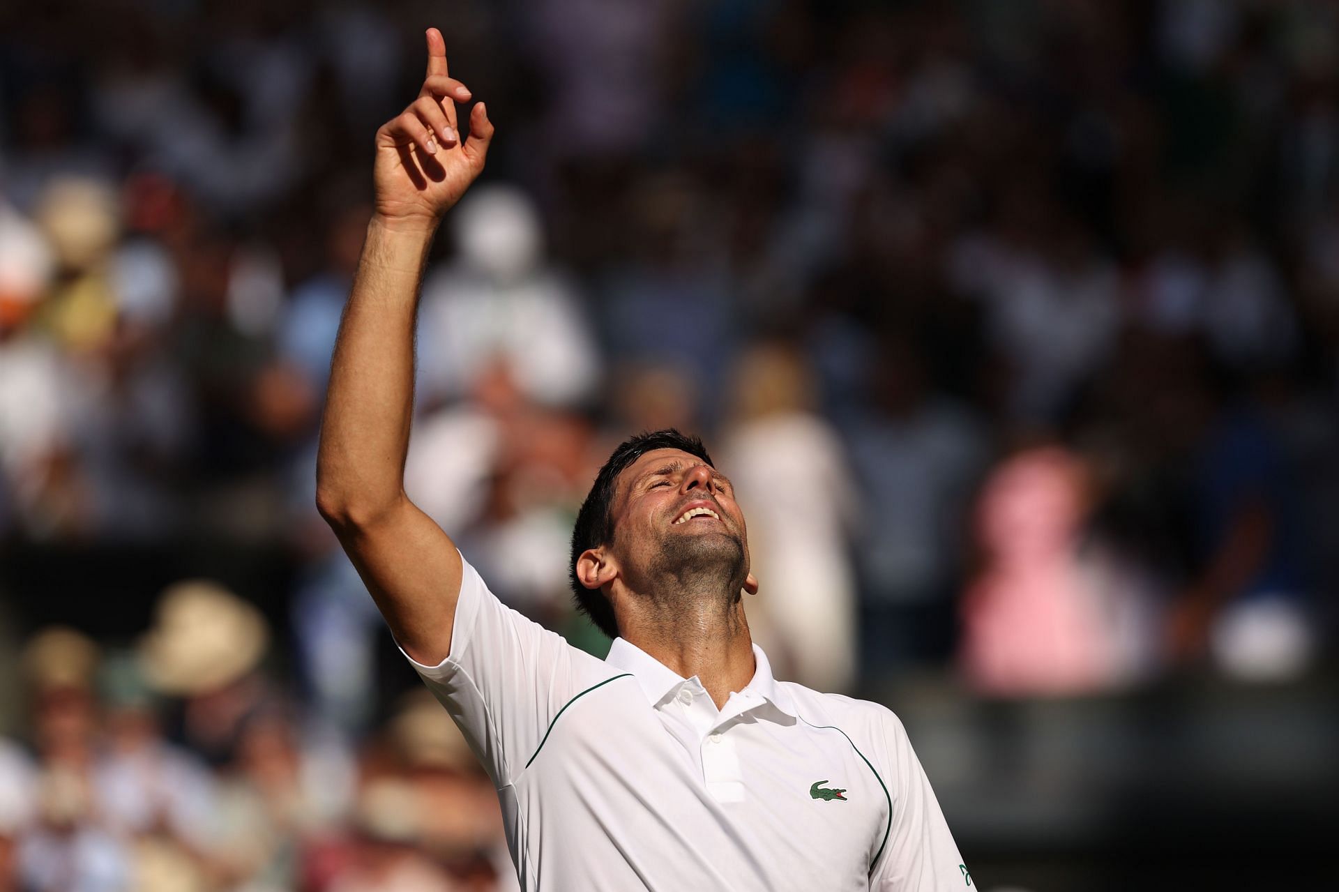 Novak Djokovic looks to the sky in relief after clinching the 2022 Wimvledon Championships title.