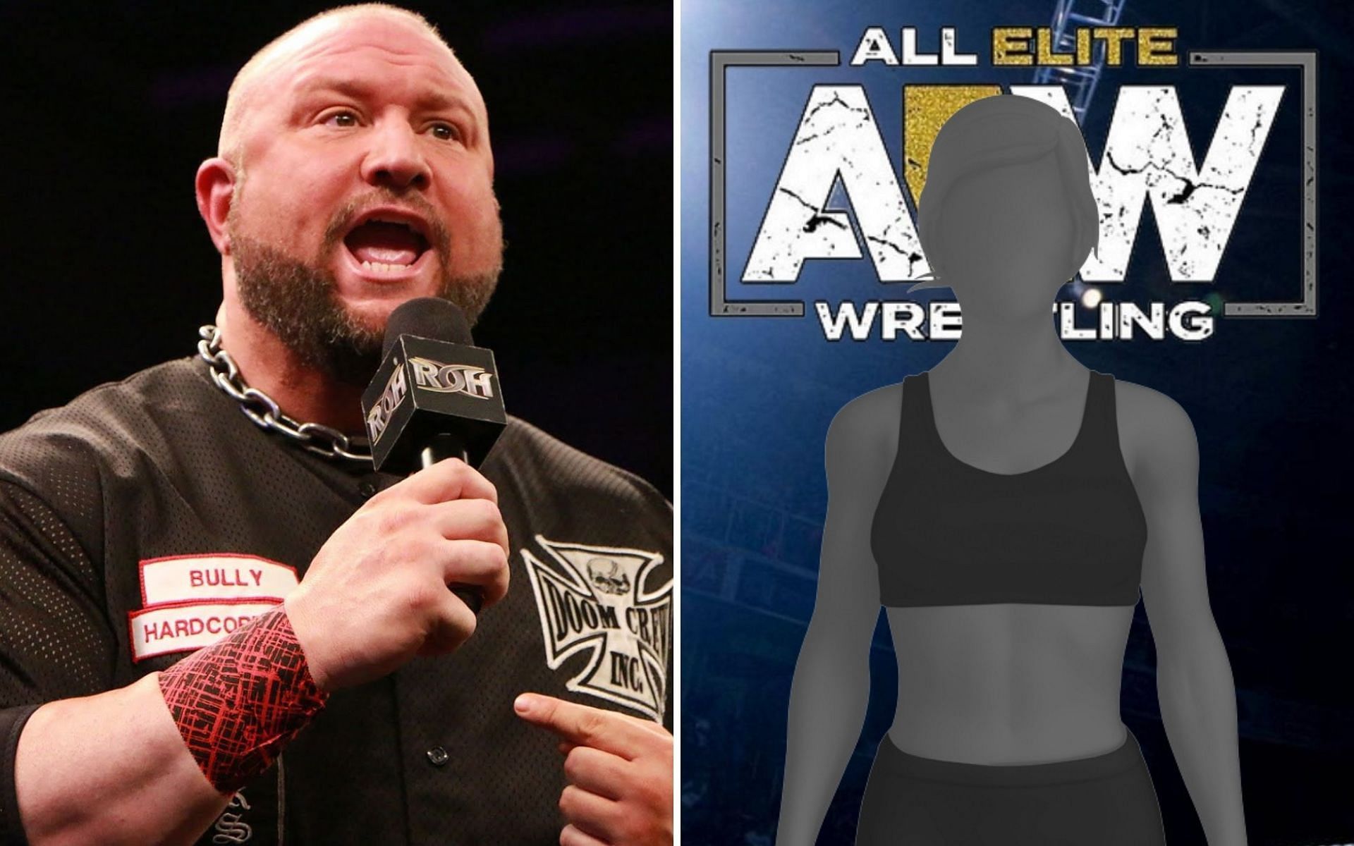 Bully Ray offers an interesting take on Dynamite segment! 