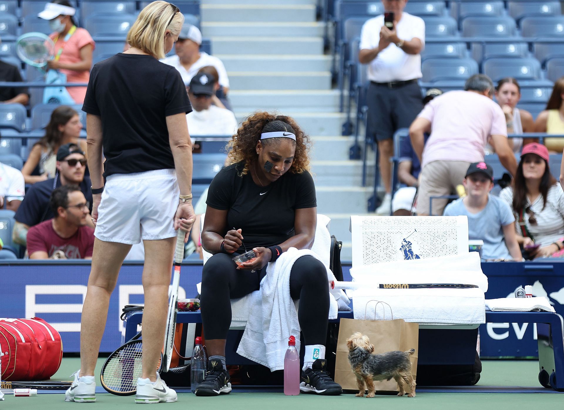 Serena Williams with her dog Christopher Chip Rafael Nadal at the 2022 US Open.