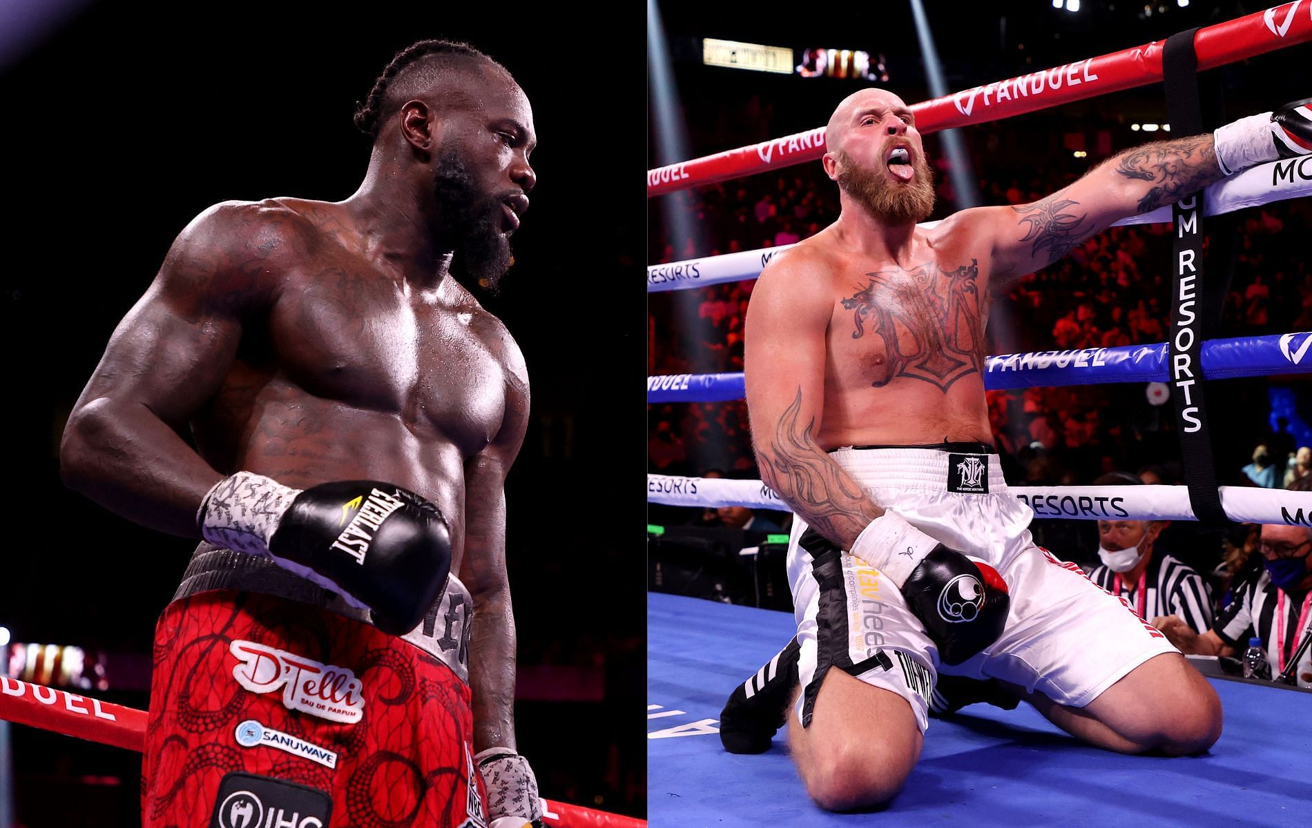 Deontay Wilder (L) and Robert Helenius (R)