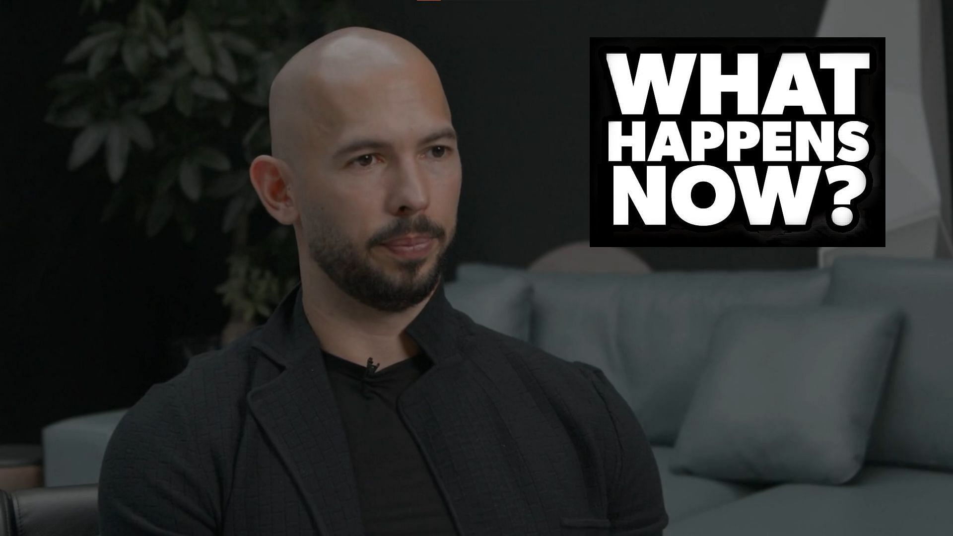 Andrew Tate discusses his future (Image via Vimeo)