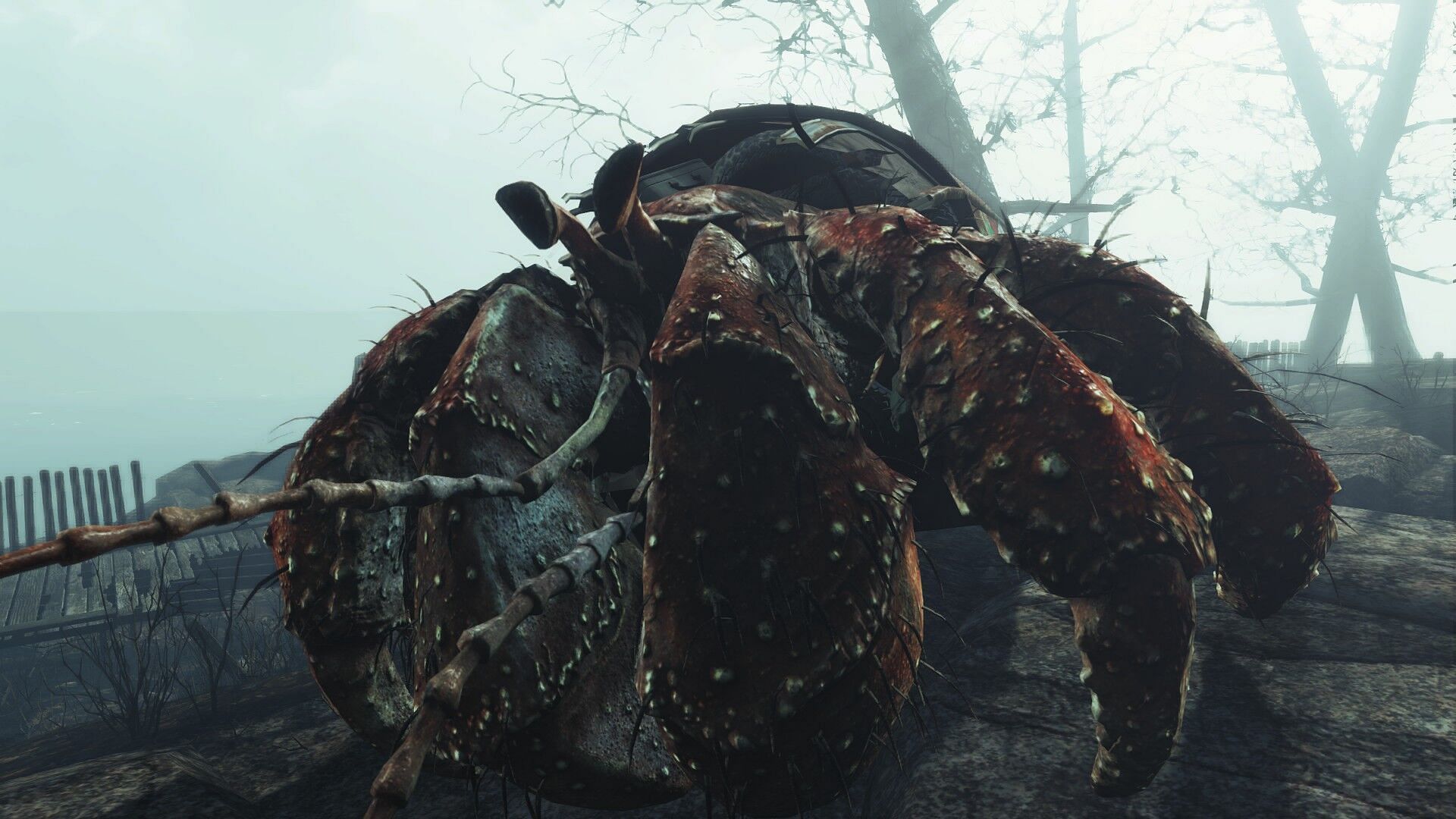 The Hermit Crab enemy was added to the Fallout franchise in the Far Harbor DLC of the fourth main series entry (Image via Bethesda)