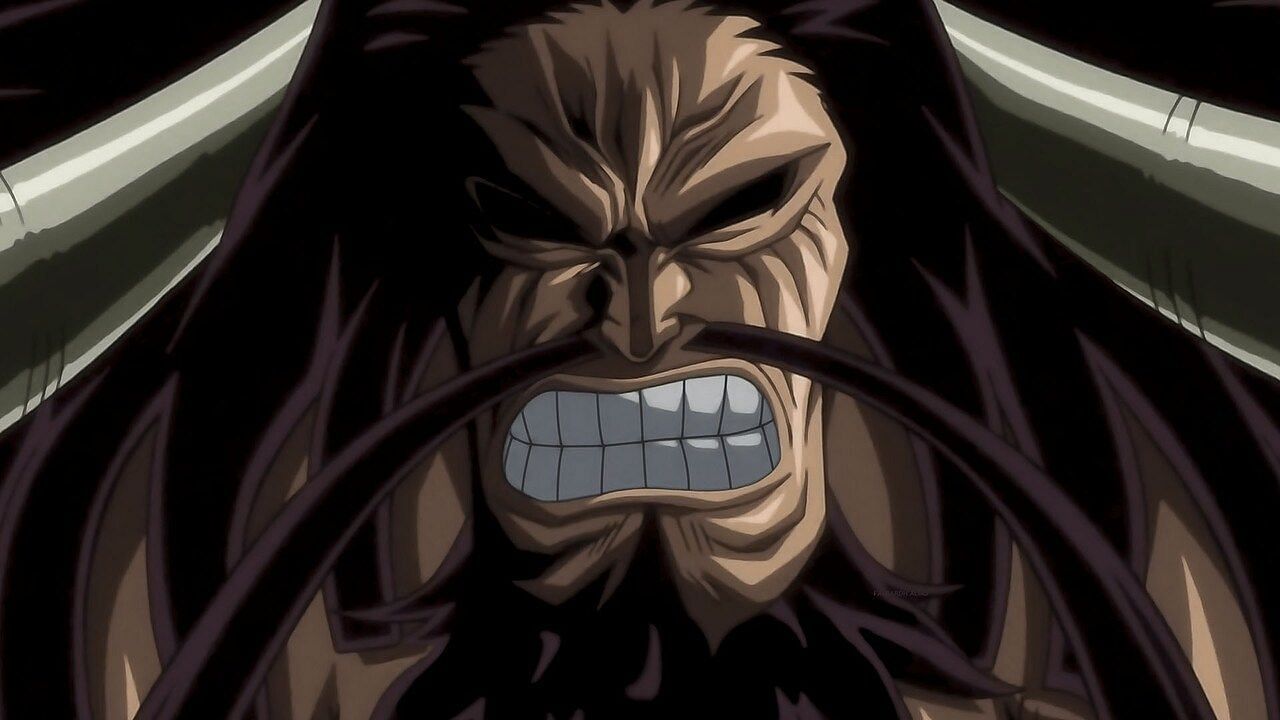 Kaido as seen in the series&#039; anime (Image via Toei Animation)