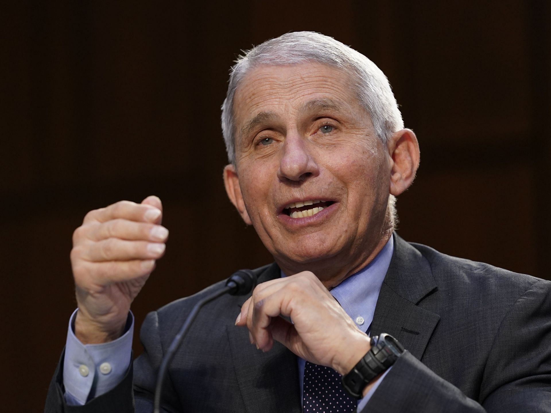 Dr. Anthony Fauci in a senate hearing (Image via Susan Walsh/Pool/Getty Images)