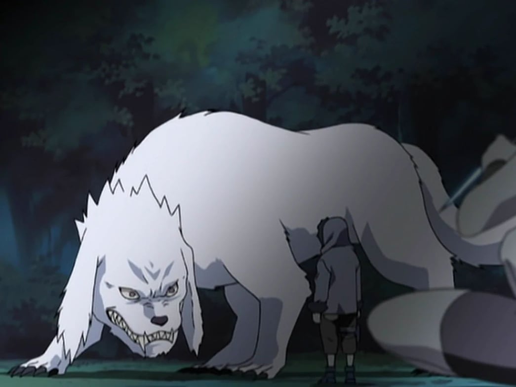 Who is Akamaru in Naruto?